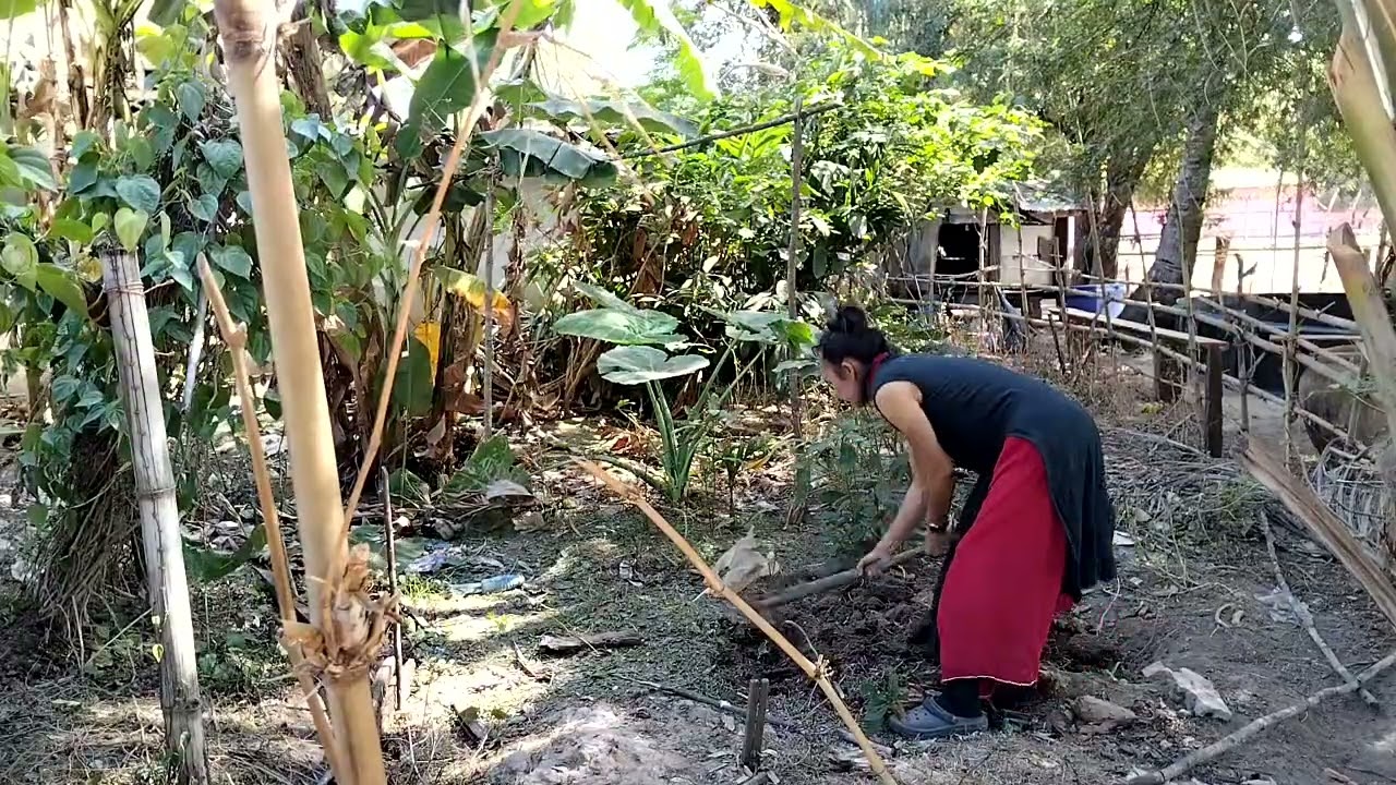 เอาดินมาถมพูให้แม่ย่ากบ
