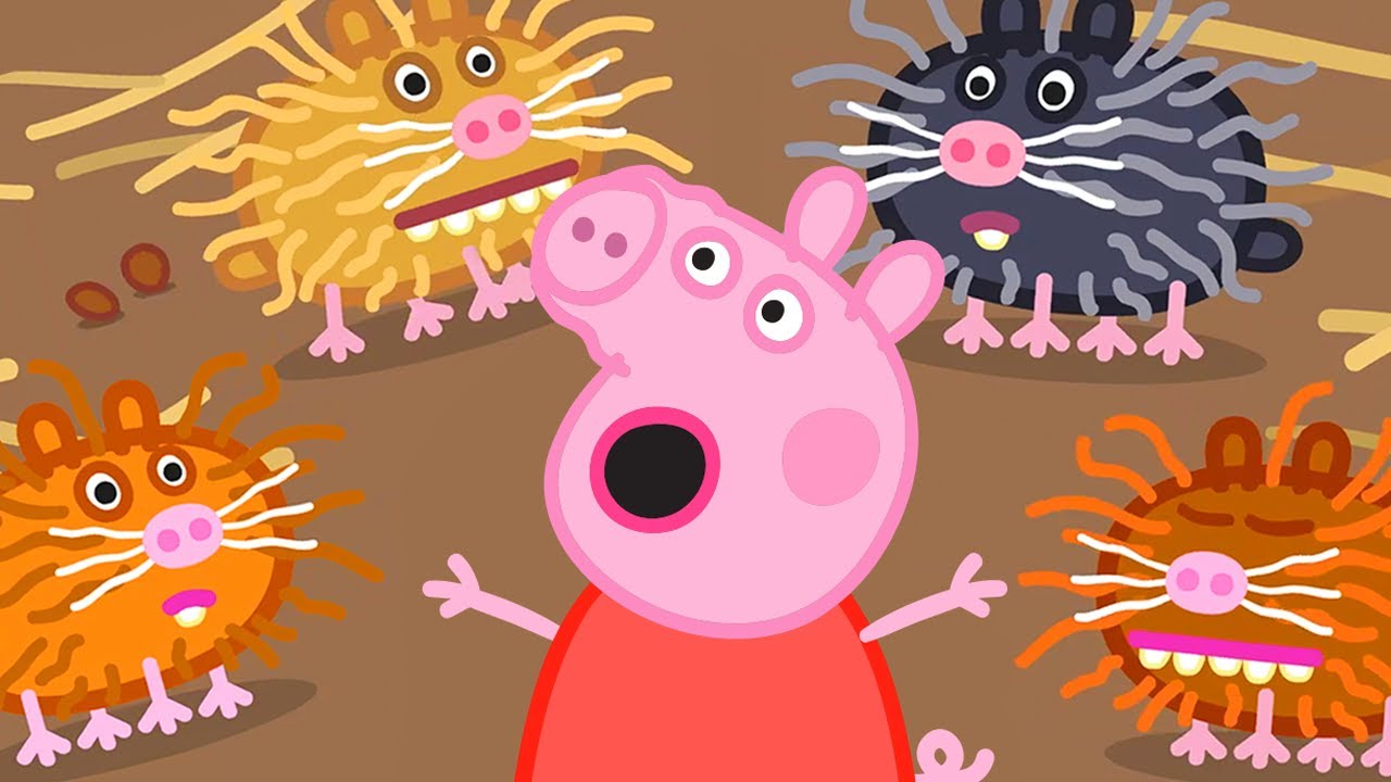 Cartoon Kids - Português Brasil | Temporada 8 - Nova Compilação 13 | Peppa Pig em Português Brasil