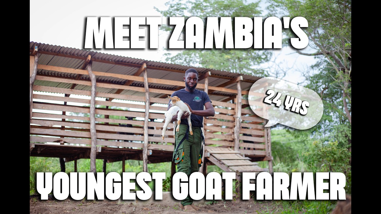 The Youngest  Farmer In Zambia With a Self-Sustaining Farm