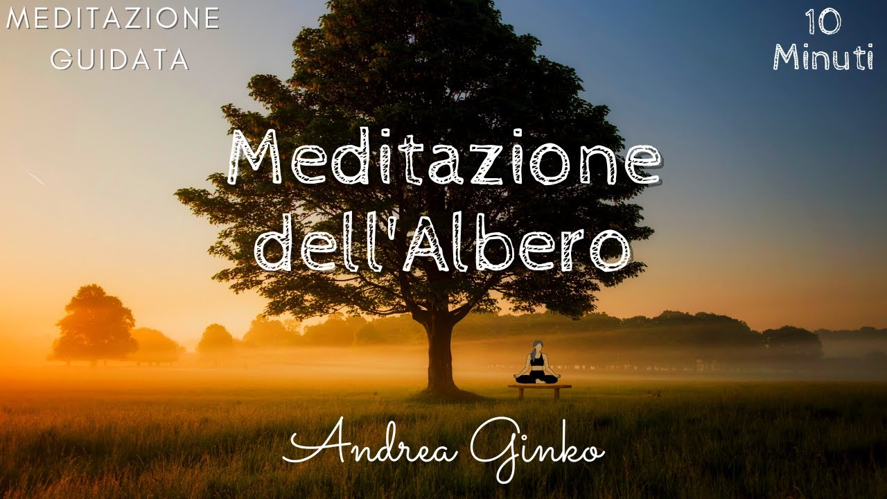 MEDITAZIONE DELL' ALBERO - Pulisci la Mente  - Ritrova il tuo centro - Meditazione Guidata
