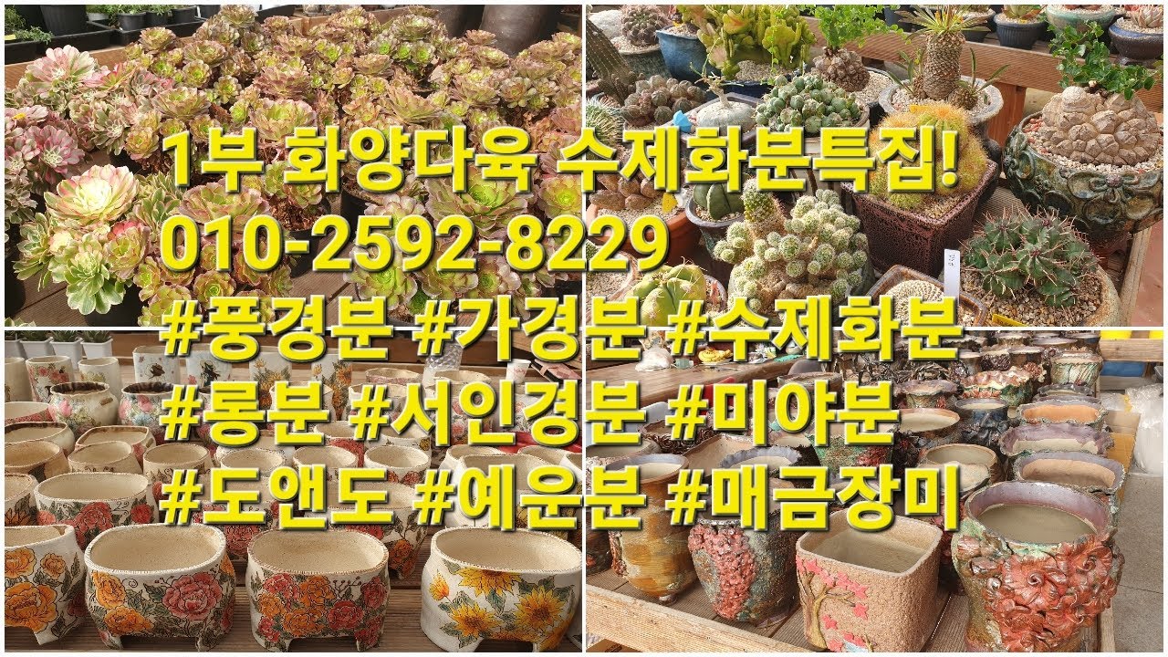 1부 화양다육 수제화분특집!010-2592-8229  #풍경분 #가경분 #수제화분 #롱분 #서인경분 #미야분 #도앤도 #예운분 #매금장미