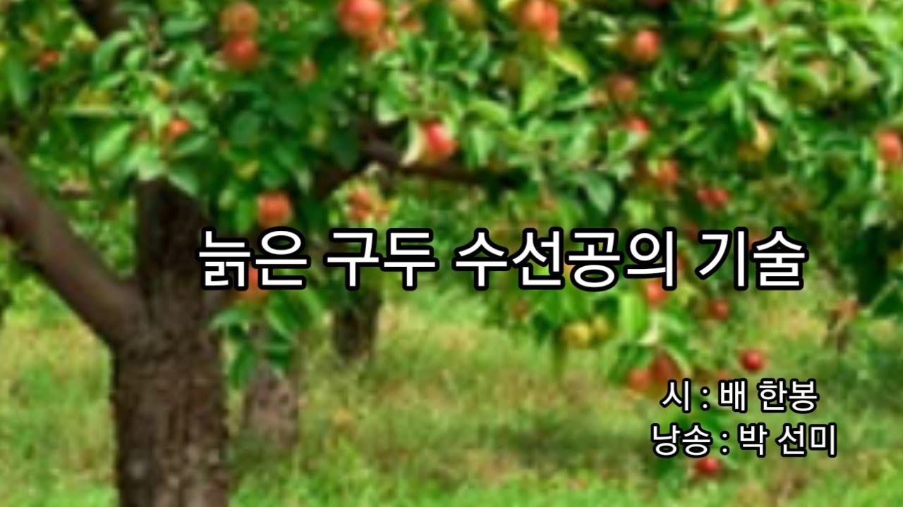 늙은 구두 수선공의 기술, 배 한봉,
