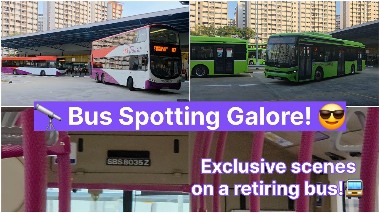 [Re-opening of Compassvale Bus Interchange] - Part 2: Bus Spotting and going out