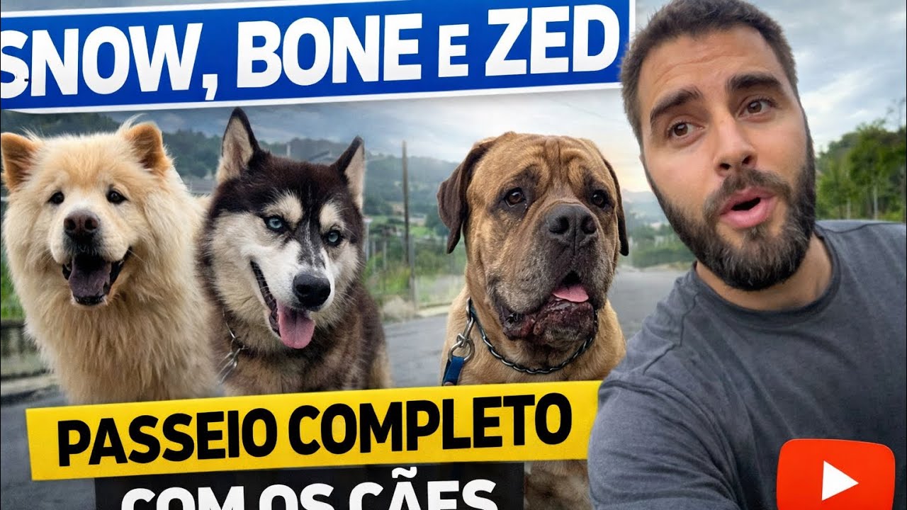 Passeio Completo com Zed, Snow e Bone 🐕🐕🐕 | Caminhada, Rotina.