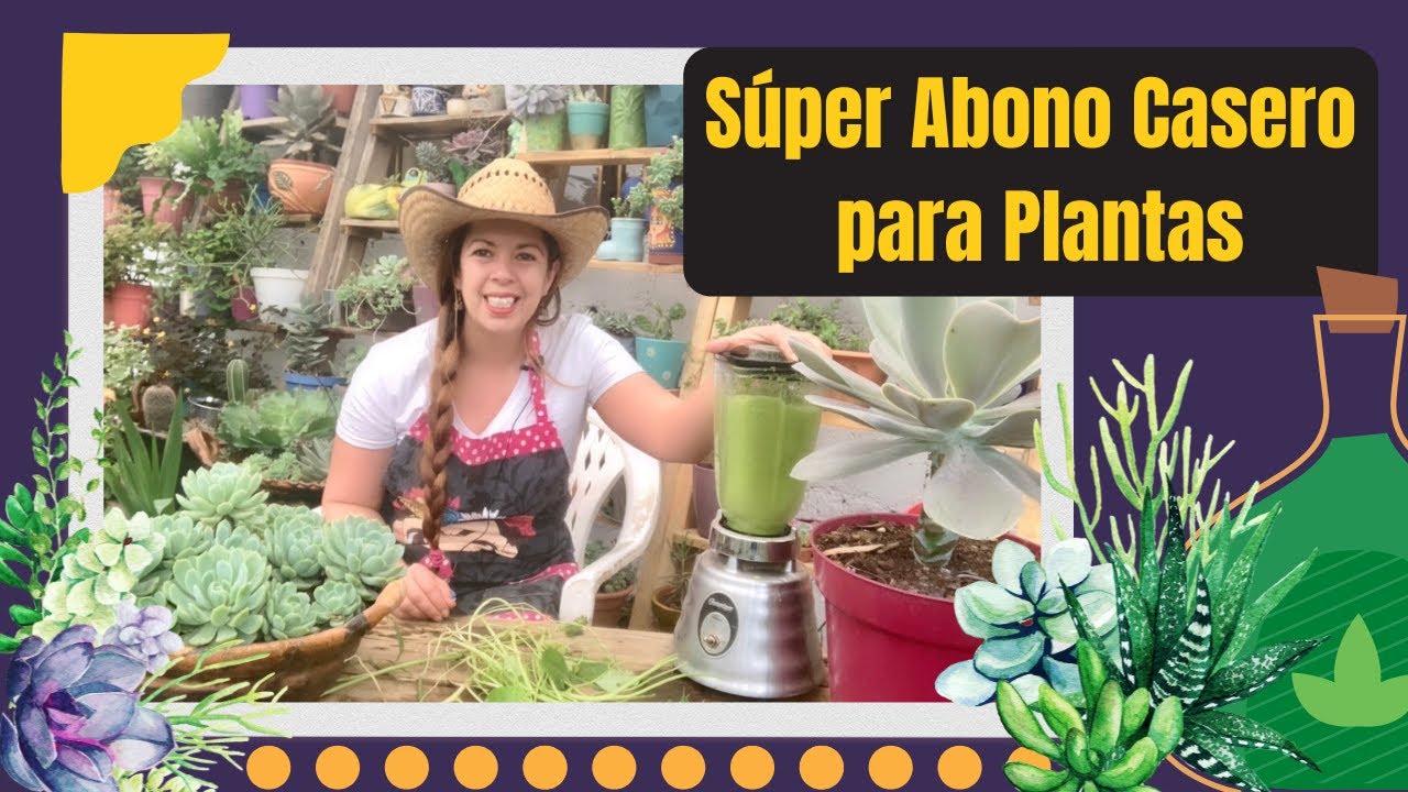 Súper abono casero para plantas, para hacerlas crecer, floración masiva y mejorar raíces