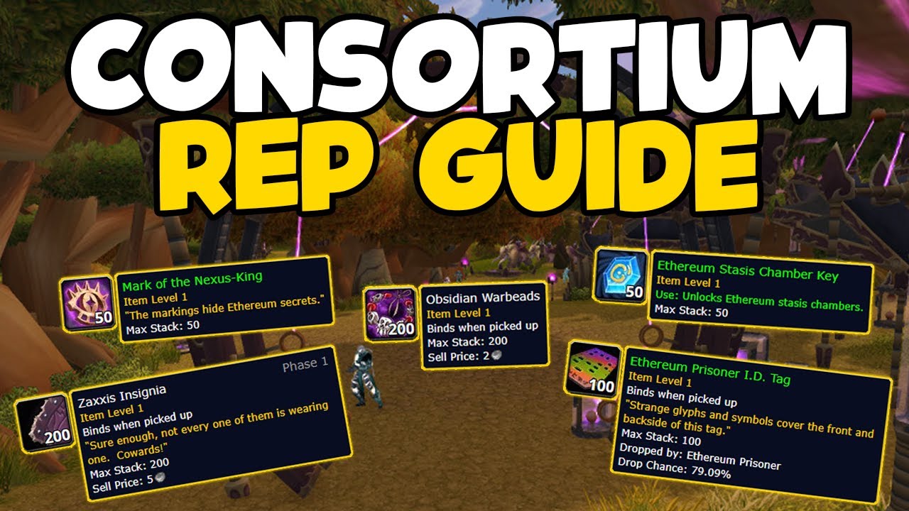 Consortium Reputation Guide (TBC Classic)