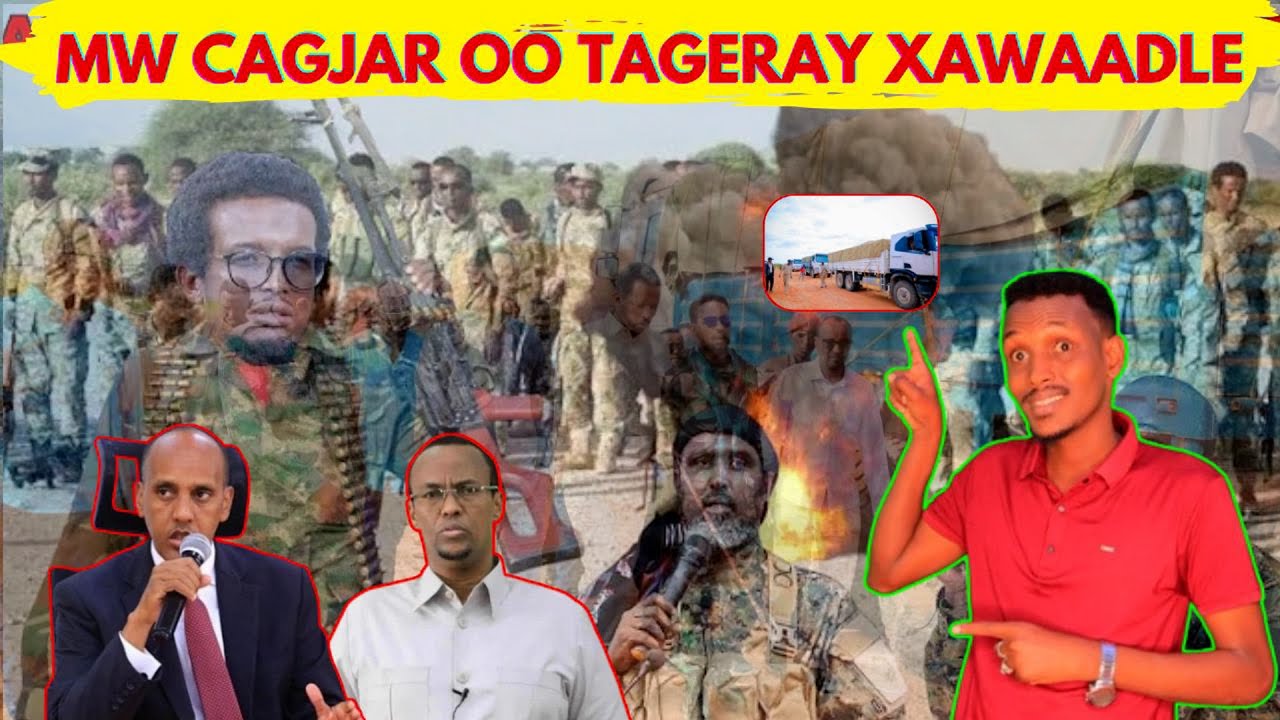 XOG
