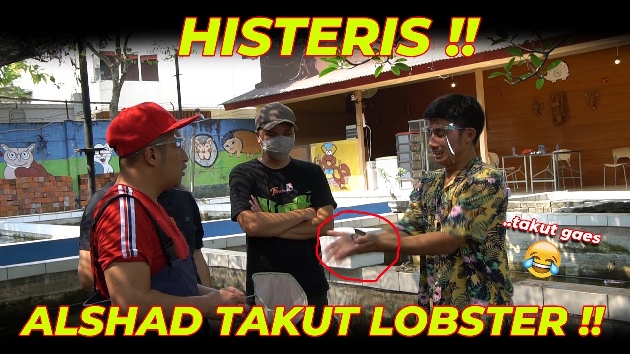 WADUH..SAMA ESHAN BERANI,KOK SAMA LOBSTER TAKUT??!
