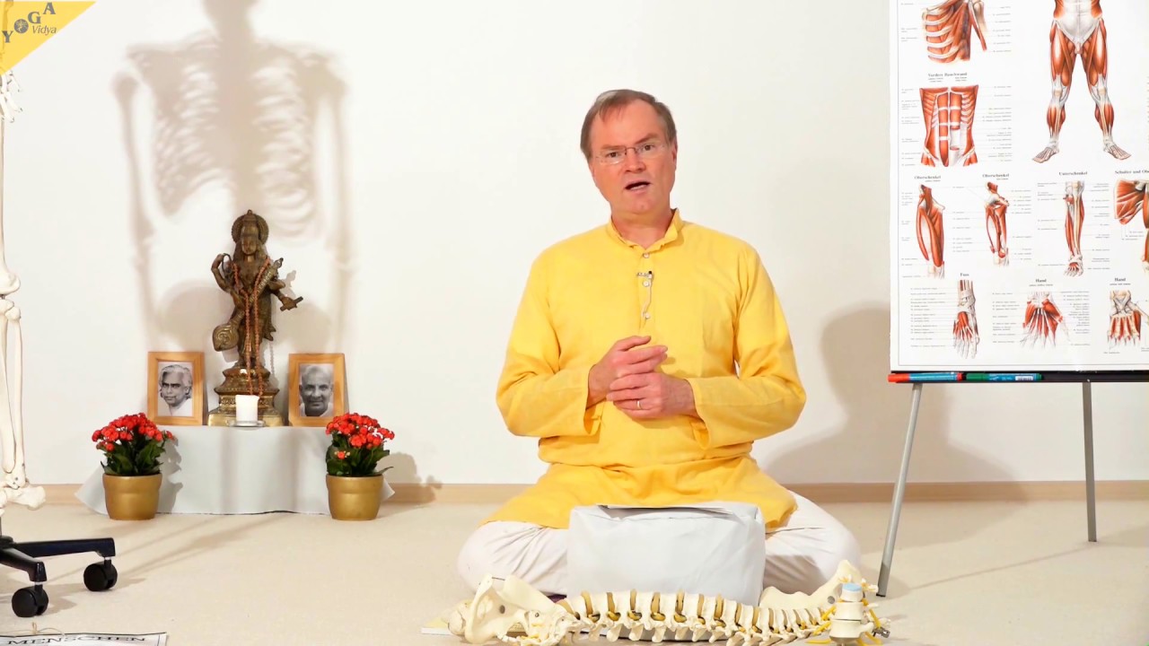 Yoga f&uuml;r den R&uuml;cken: Anatomie und Physiologie - YVS070