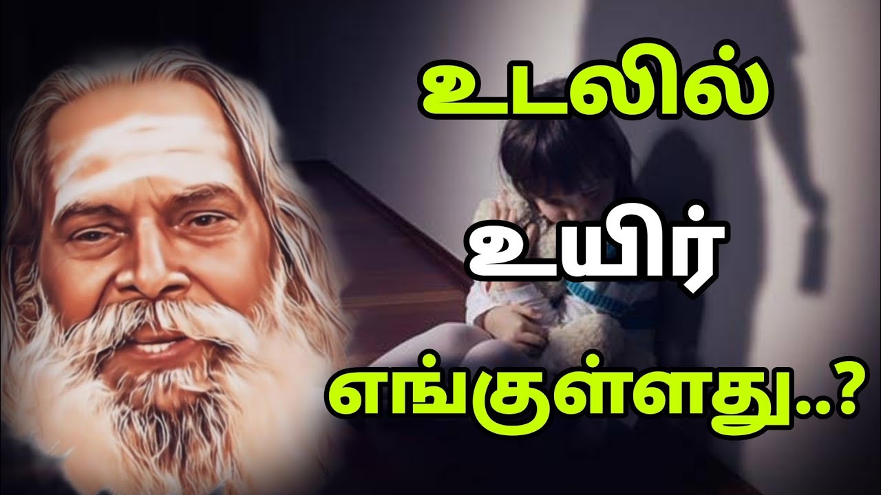 உடலில் உயிர் எங்குள்ளது..? | Nithyananda Swamigal | GuruNithyam TV