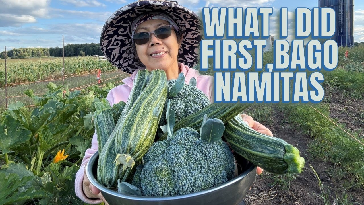 WHAT I DID BEFORE PICKING VEGIES