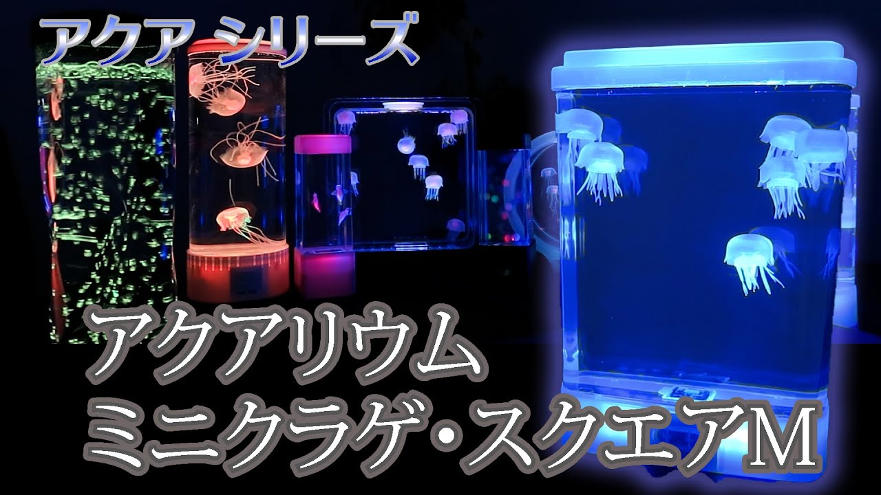 まるで深海の中で泳ぐクラゲの舞！！幻想的なシーンに見とれてしまうアクアリウム・ミニクラゲスクエアM