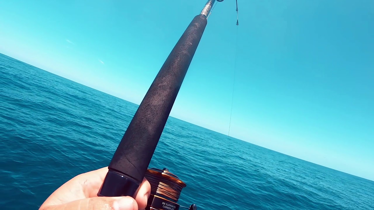 catching  sweet lip on the reef