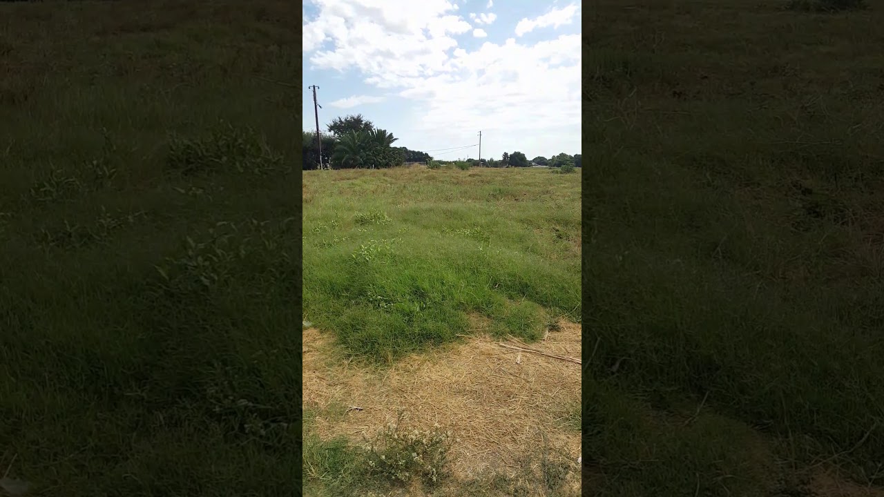 34 andrus cir Isleton ca lot for sale for 74k