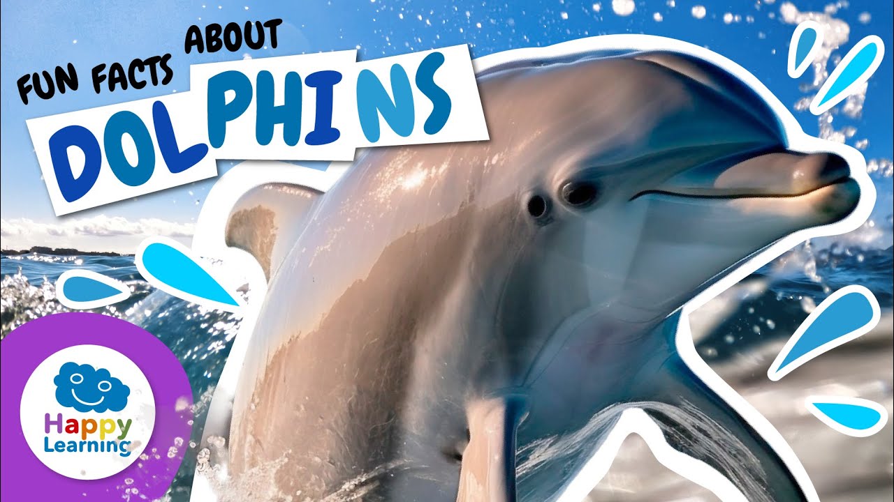 🐬 Fun Facts About Dolphins | Educational Videos for Children | @HappyLearningENG