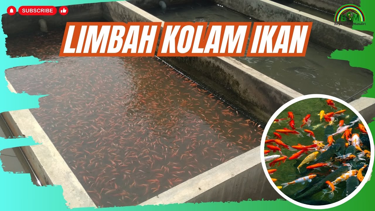 MEMANFAATKAN LIMBAH KOLAM IKAN