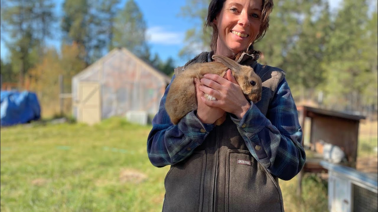Single Homesteading Mama | Day In The Life