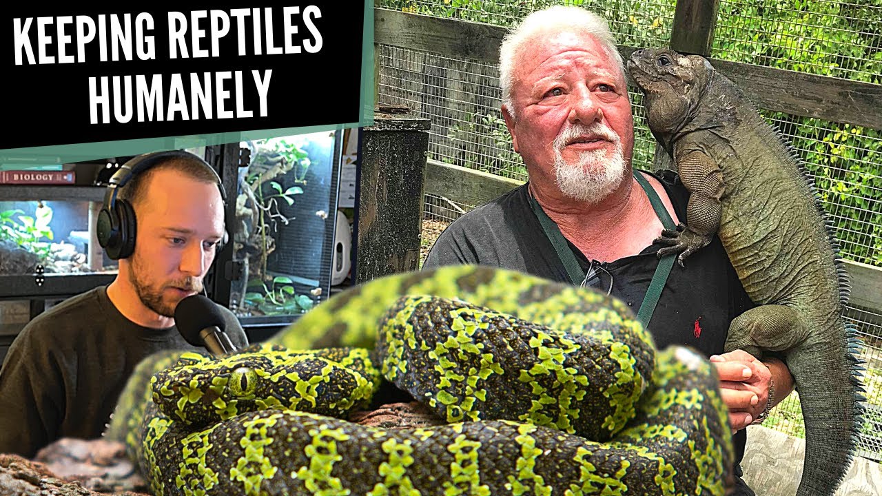 Keeping Reptiles Humanely | Tom Crutchfield