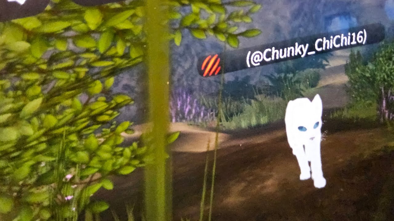 NPC HUNTING WITH MY FRIEND IN WCUE!!!