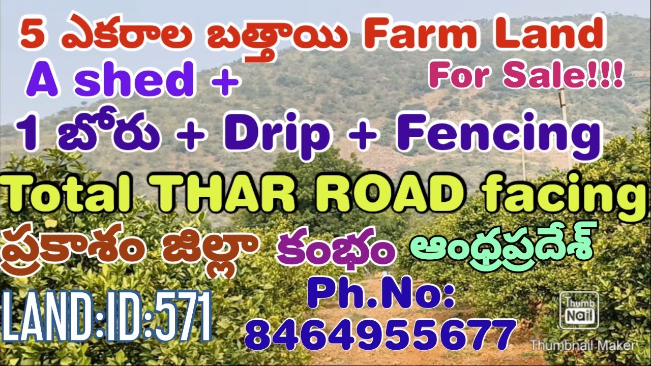 5 ACRES OF LAND FOR SALE. PRAKASAM (DT). CUMBUM. (AP). PH. NO. 8464955677. LAND: ID: 571.