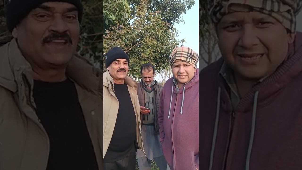 سرسوں کی بہار 