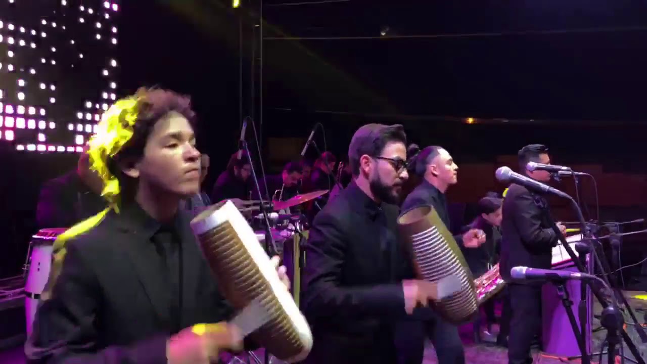 DON MEDARDO Y SUS PLAYER'S HD 2019 MIX ENFERMERA - SECRETARIA - COLEGIALA - ARBOL FRONDOSO