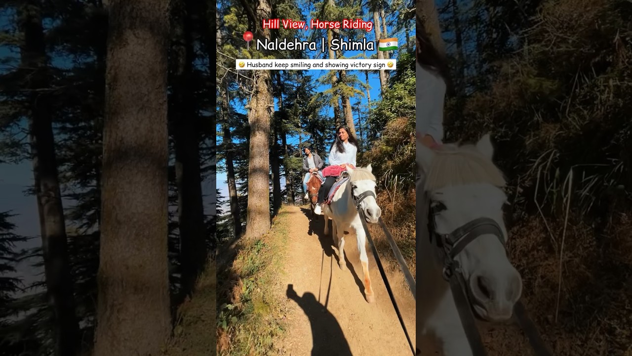 Naldehra | Shimla | Pov: we got the best guide for our horse ride #shorts #short #youtube #trending