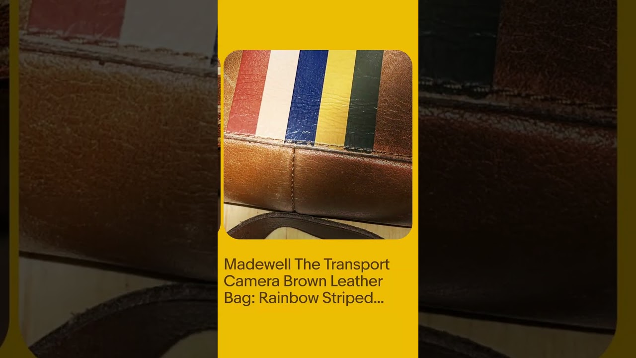 Madewell The Transport Camera Brown Leather Bag: Rainbow Striped Edition