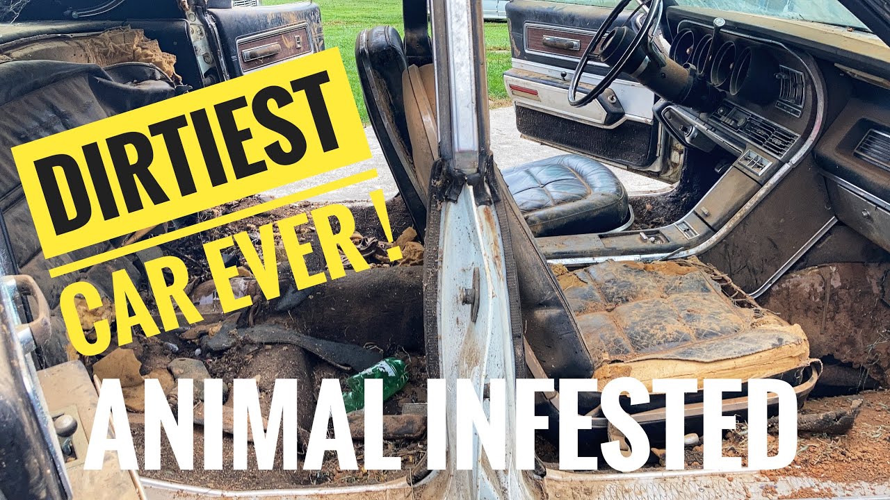 67 Thunderbird clean up with animal infestation