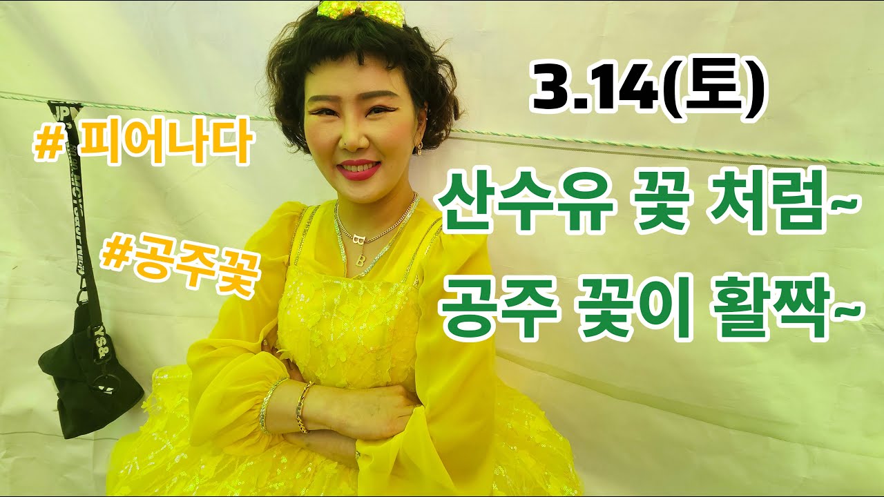 구례산수유 토요일 상콤하게~♡시작합니다🎇#나공주#구례#산수유#현역가왕#트롯#각설이#트롯#공연#축제장#전국#삼겹살#먹방#품바#음악#라이브#할머니