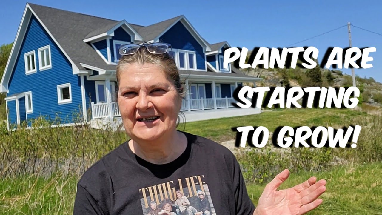 Garden Tour 🥬 Vegetables are starting to grow! Newfoundland, Canada 🇨🇦