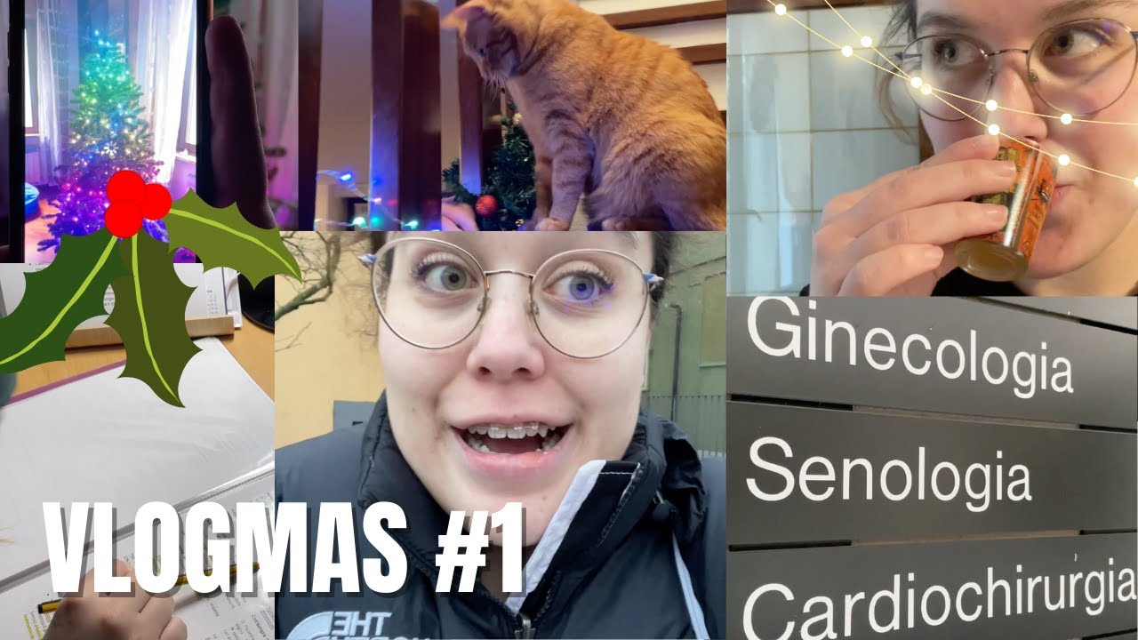 INIZIANO I VLOGMAS: albero e pre-esame | VlogMas #1