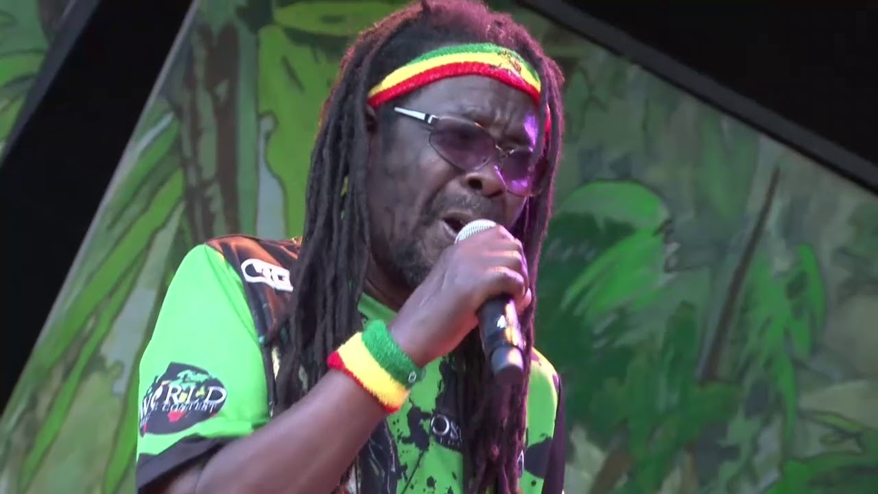 BLACK ROOTS live @ Main Stage 2017
