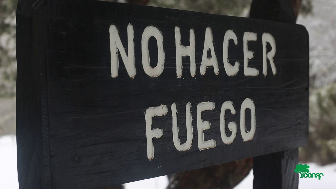 CONAF - Prevenci&oacute;n de incendios forestales