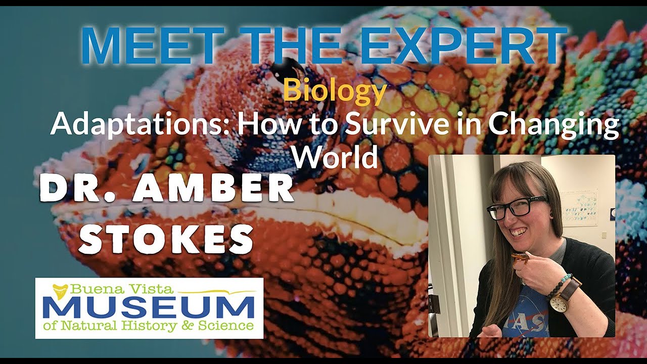 Meet the Expert: Dr. Amber Stokes, Adaptations: How to Survive in a Changing World
