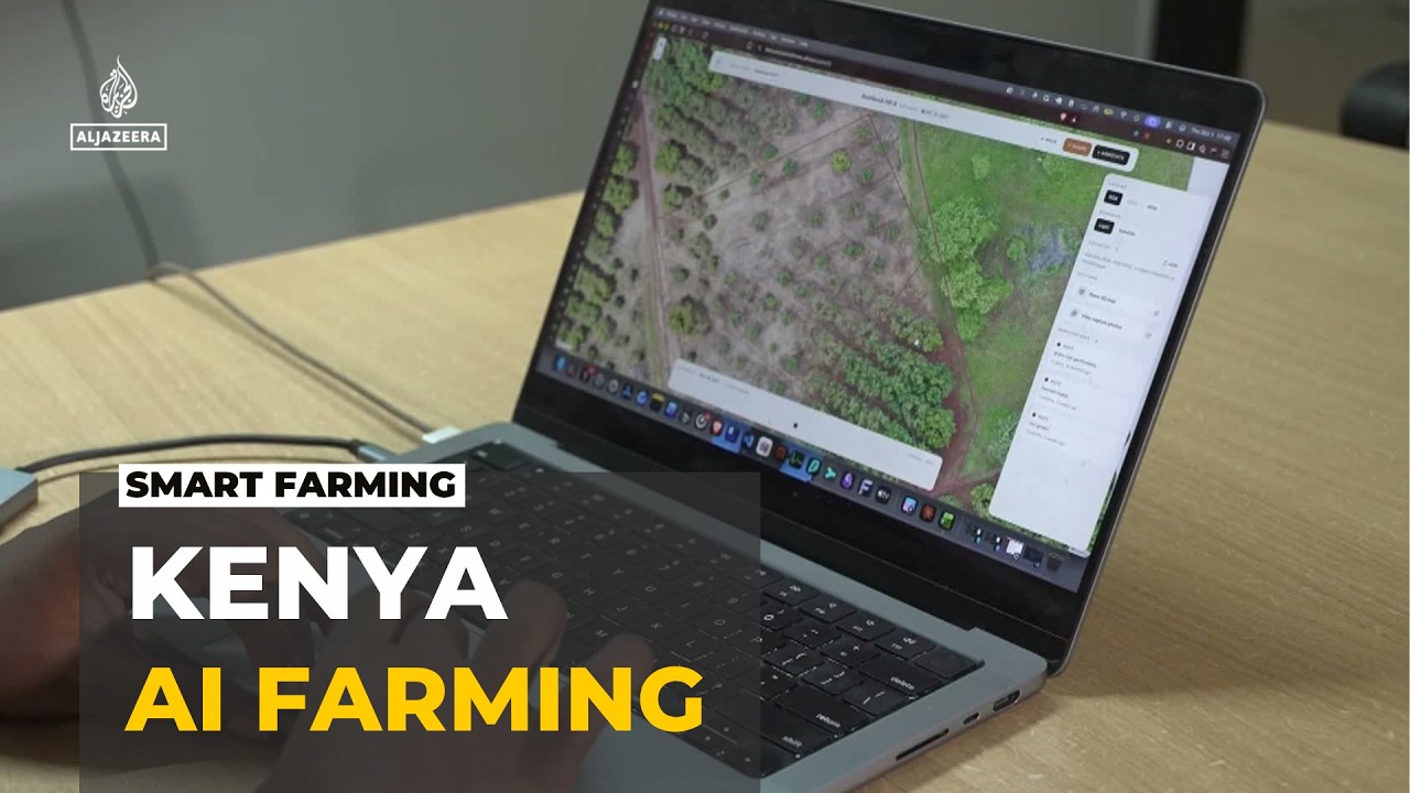 Kenya's AI-powered farms: Farmers use technology to tackle challenges