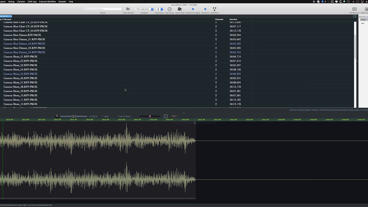 Sound miner support reaper subprojects