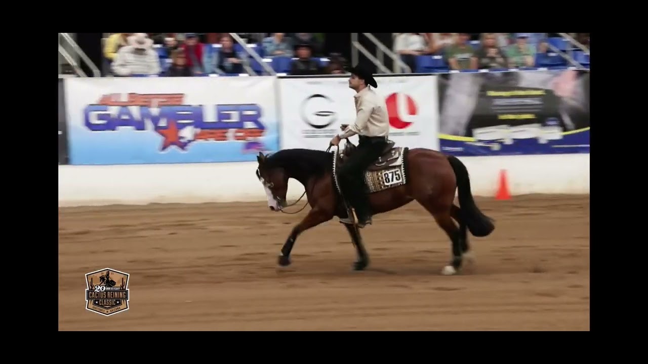 Lv borgata mare show by Jeronimo Leal Lobo