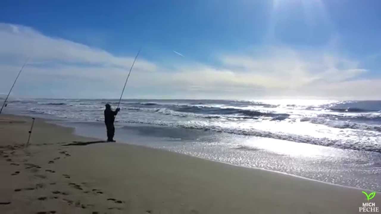 LOUP de 3kg en SURF par MOMO ! (Team MICH P&Ecirc;CHE)