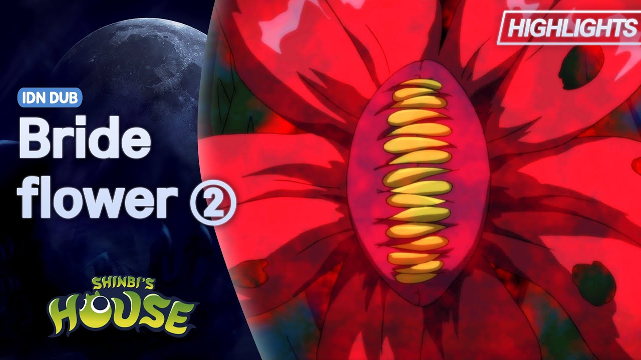 Shinbi’s House | Season 1 | Bride flower | Highlight 01 | Bahasa Indonesia