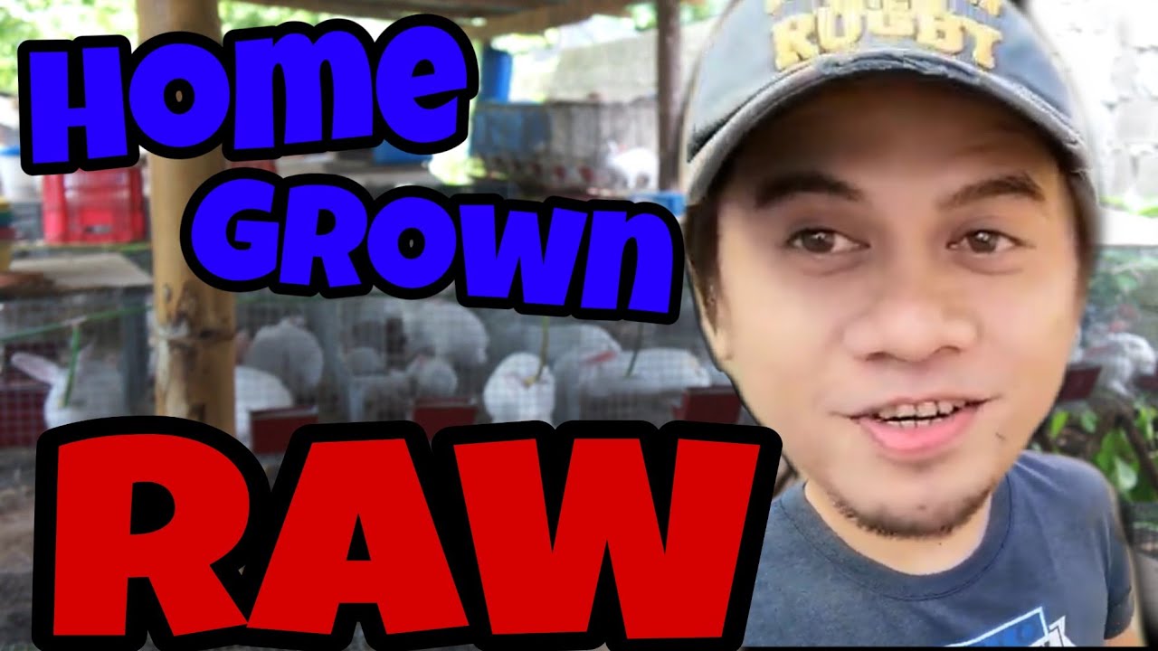 Rabbit Farming Philippines || backyard || raw feeding