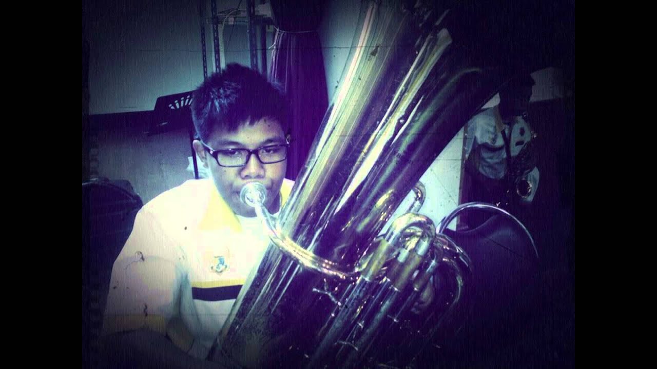 'what makes you beautiful' on tuba