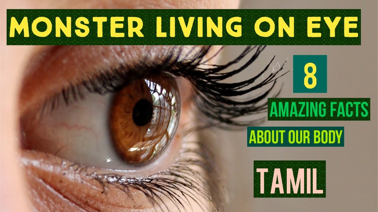 8 Amazing facts about our human body in Tamil