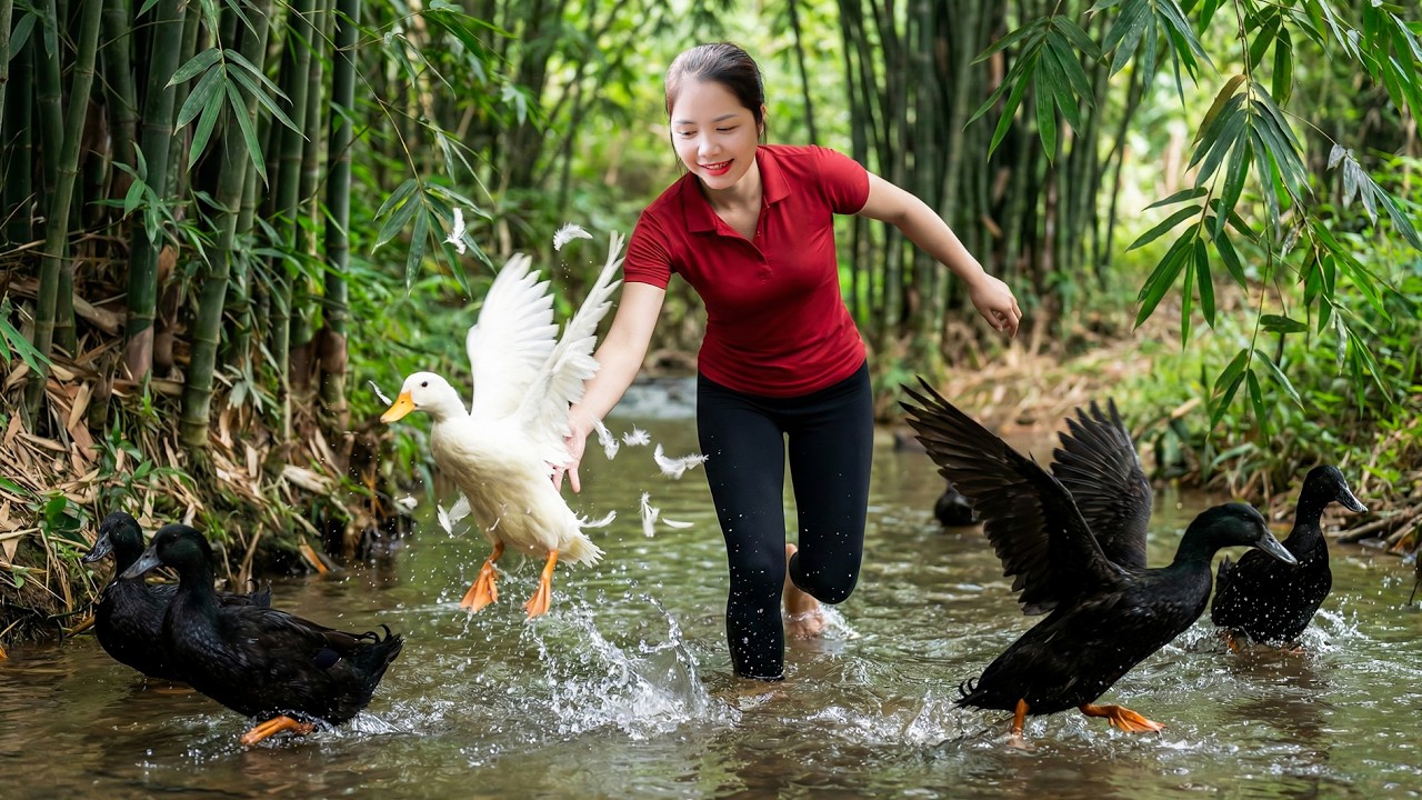 Harvesting 1000+ Little Duck To Sell At The Market, Care Garden, Raising Chickens | Han Harvesting