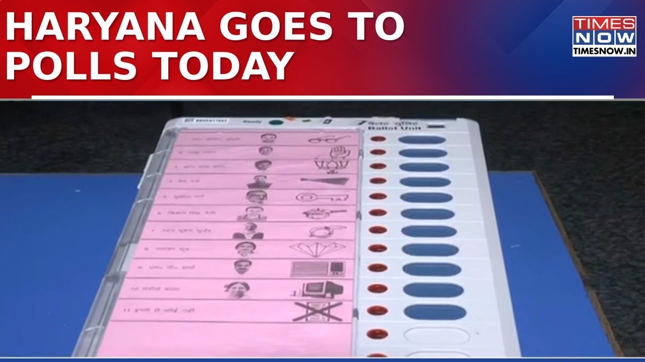 Haryana Assembly Election 2024 : Polling In Full Swing Across 90 Seats As State Decides...