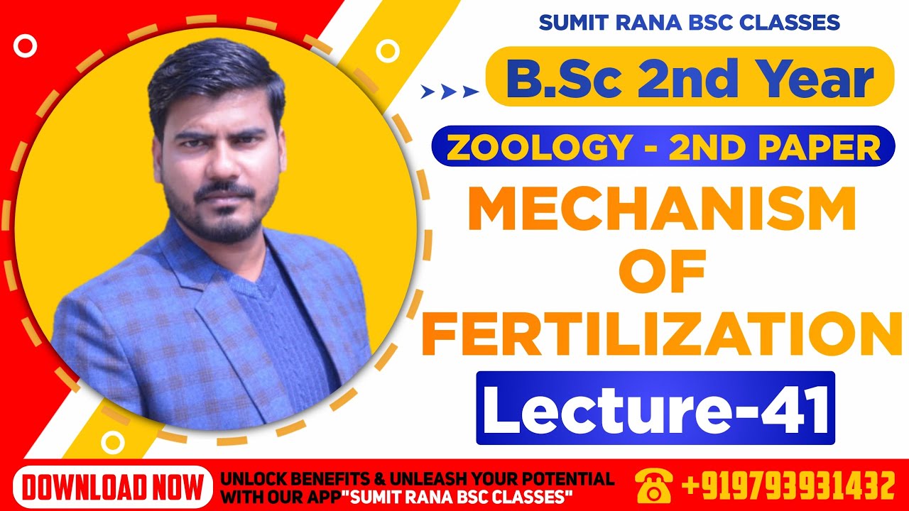 (Lt-41) Mechanism Of Fertilization || Zoology 2nd Paper || B.Sc. 2nd Year