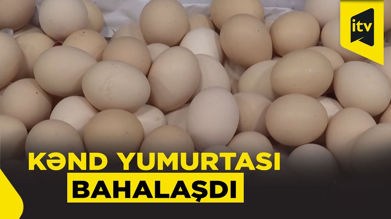 Kənd yumurtasının qiyməti niyə artıb?