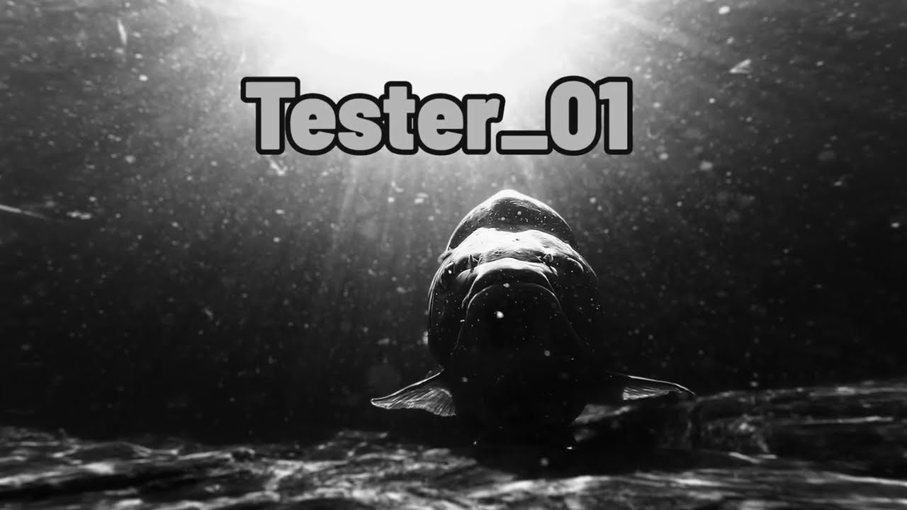 KAPR TONDA a přátelé. Tester_01