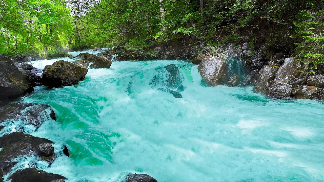 Powerful Roaring River & Waterfall Sounds | Pure Water White Noise (No Birds) for Sleep & Focus.