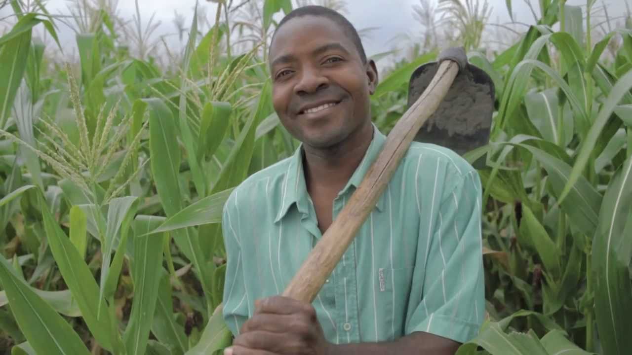 BDA CRÉDITO AGRÍCOLA